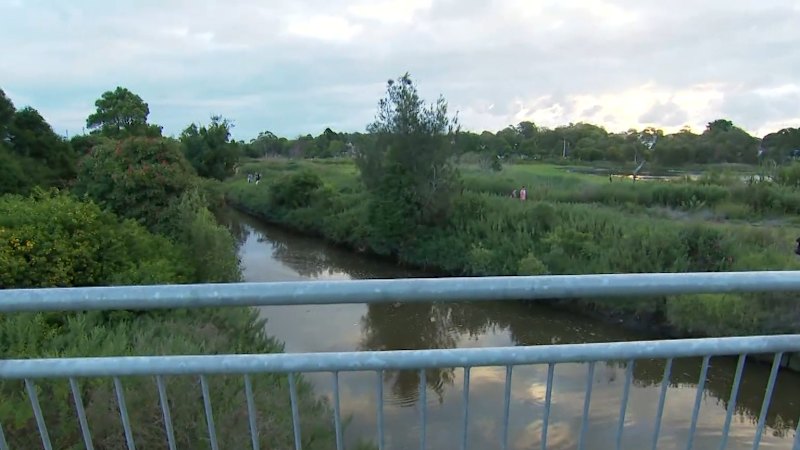 Crocodile captured in Newcastle