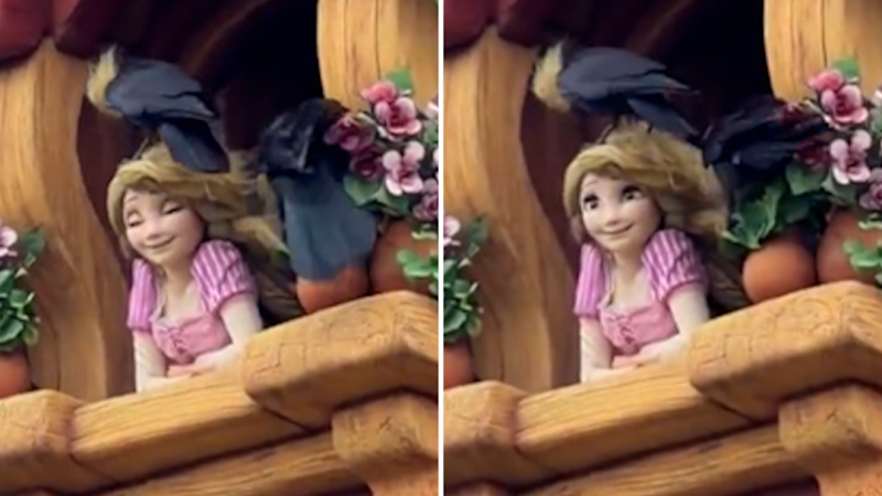 Rapunzel animatronic at Disneyland mauled by birds