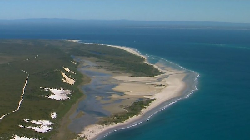Queensland on high alert after first suspected H5 bird flu case