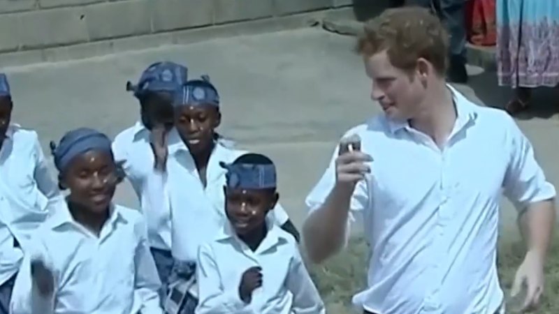 Prince Harry being sued by defamation by charity