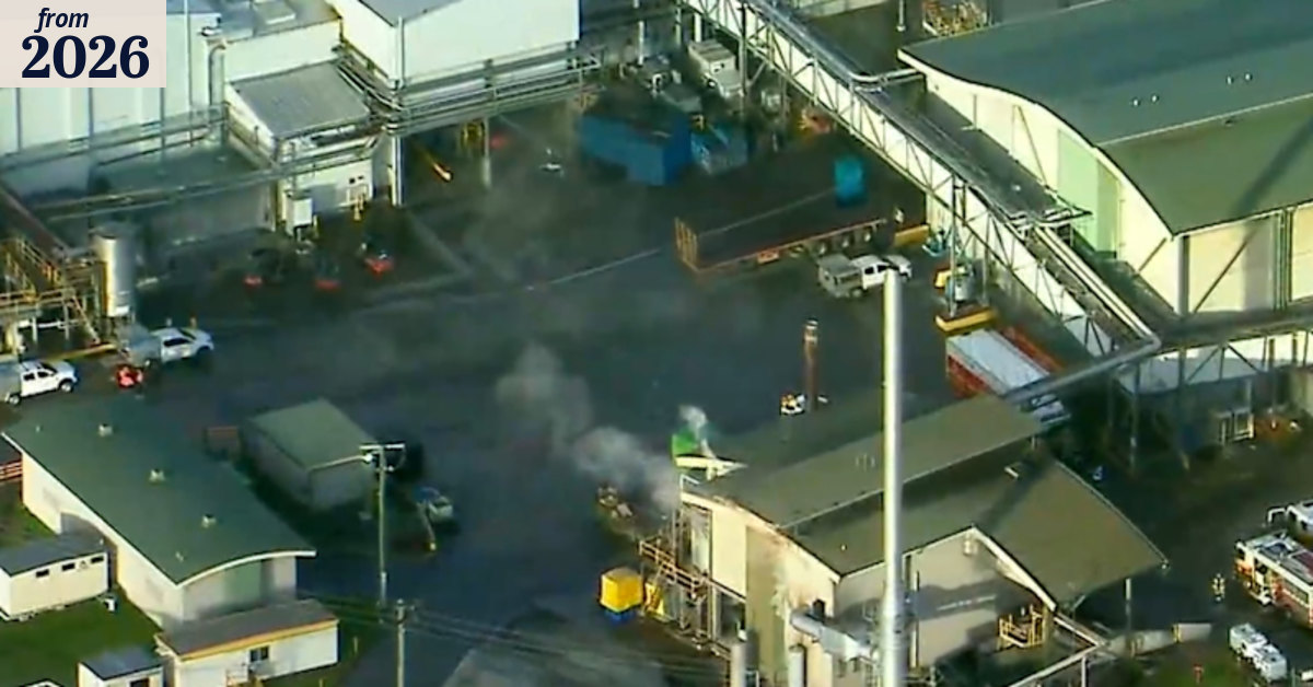 Queensland abattoir shuts after massive chemical leak