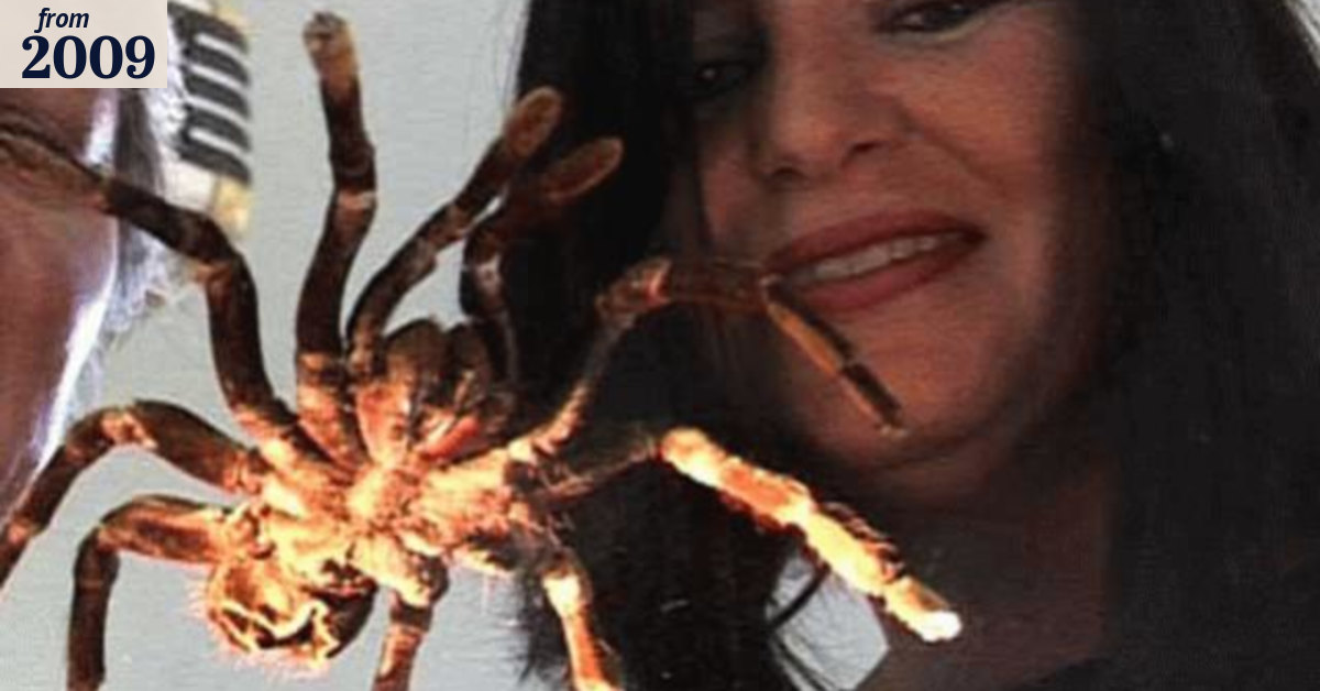 Spider appreciation classes