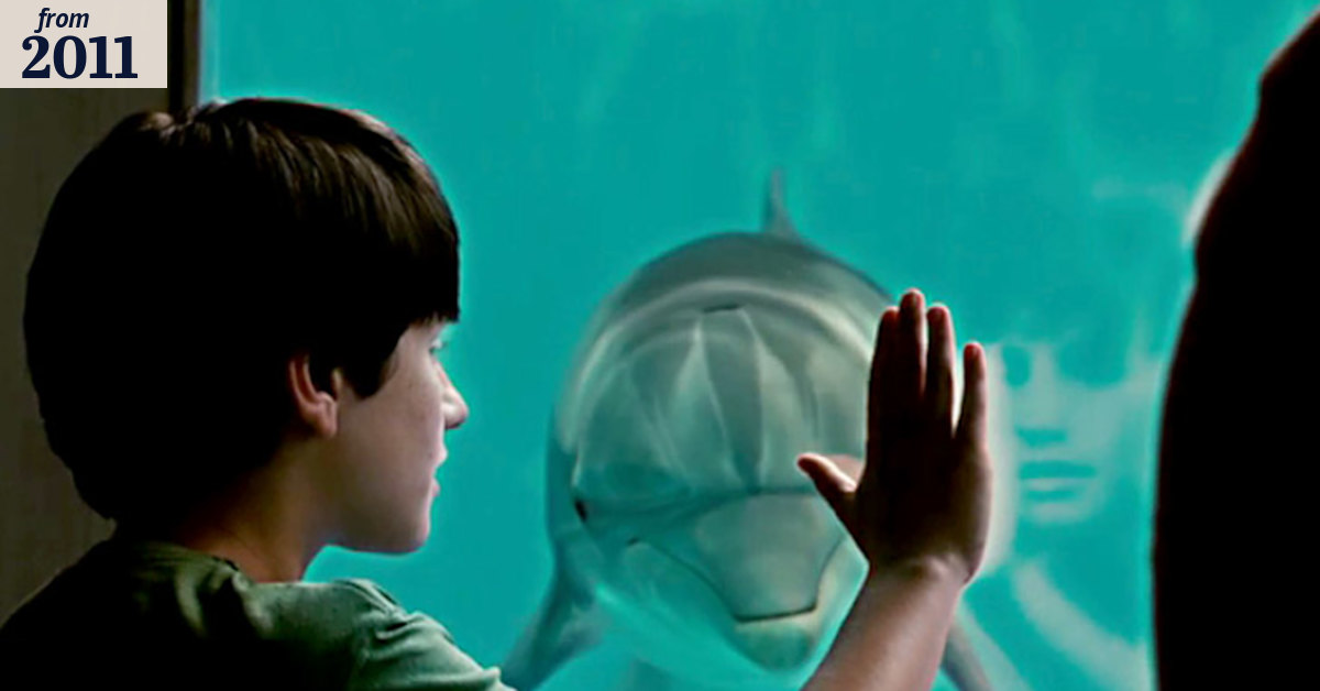 Dolphin Tale - trailer