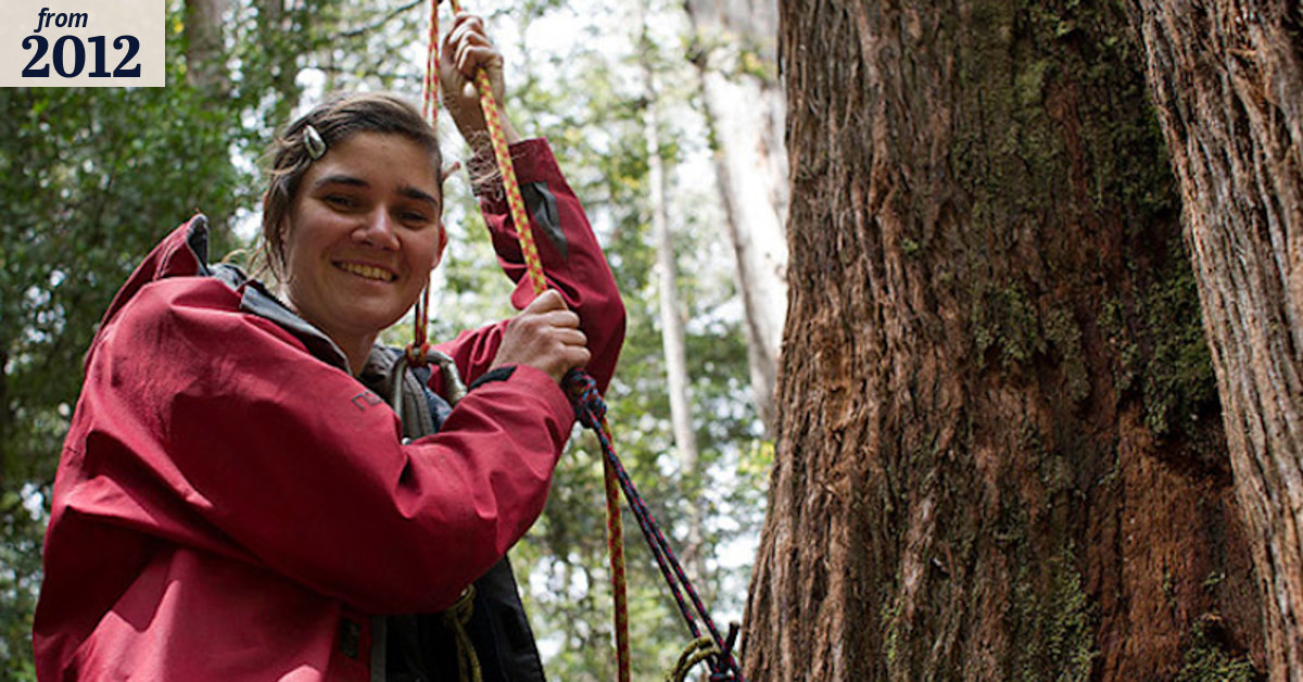The woman who lives in a tree