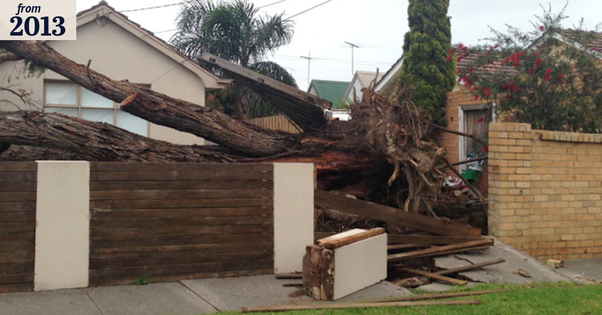 Wild winds tear through Victoria