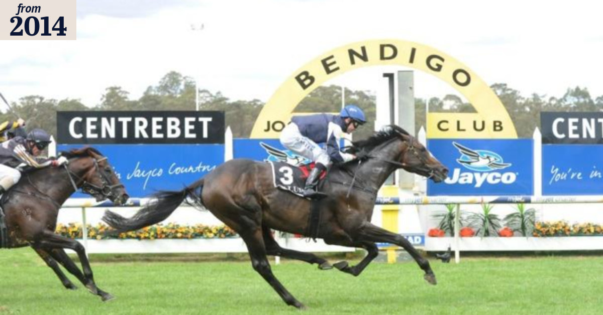 The Bendigo success story