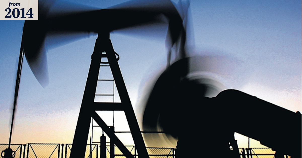 Oil prices plunge after OPEC decides against output cut