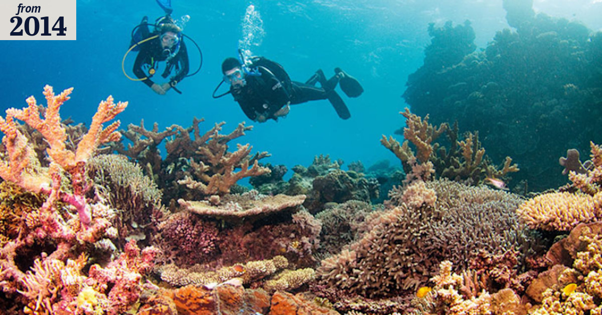 Great Barrier Reef dredging