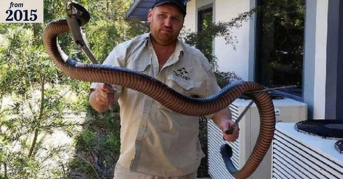 Snake released by catcher