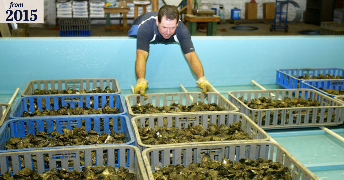 US shellfish industry at risk as oceans become more acidic