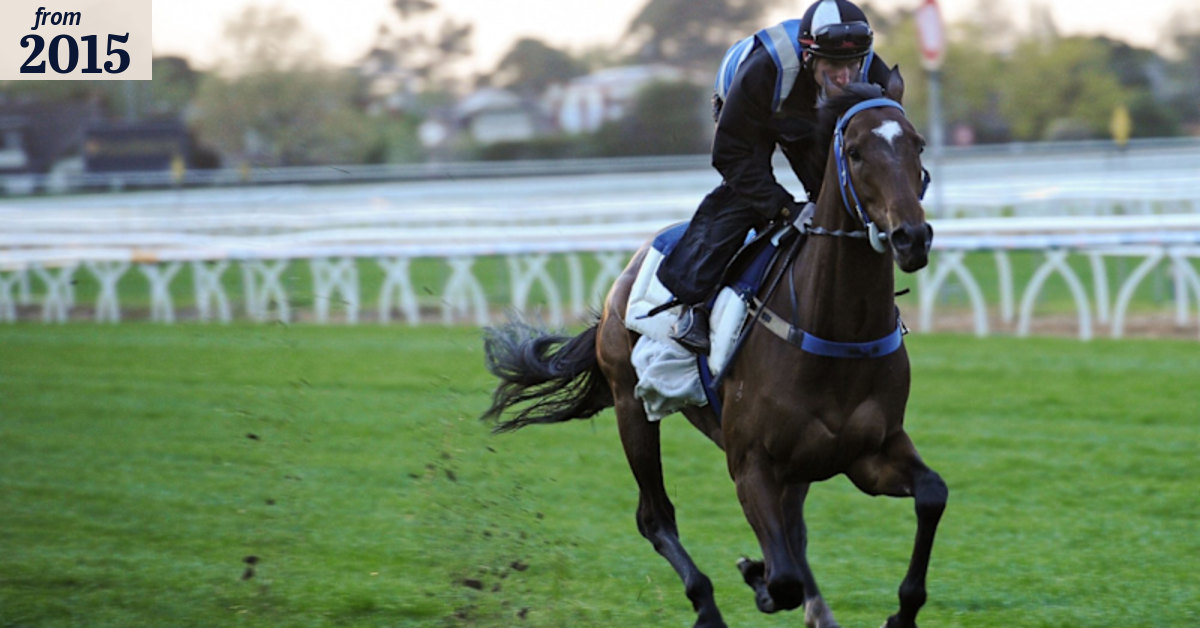 Embattled trainer Peter Moody says his feed regime 'normal' and 'boring'