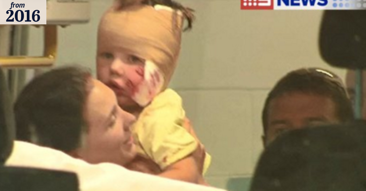 Child mauled, rushed to hospital after dog attack in Melbourne's east