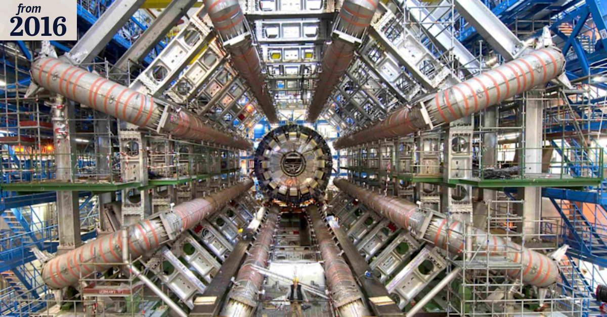 Weasel stops biggest scientific instrument in the world