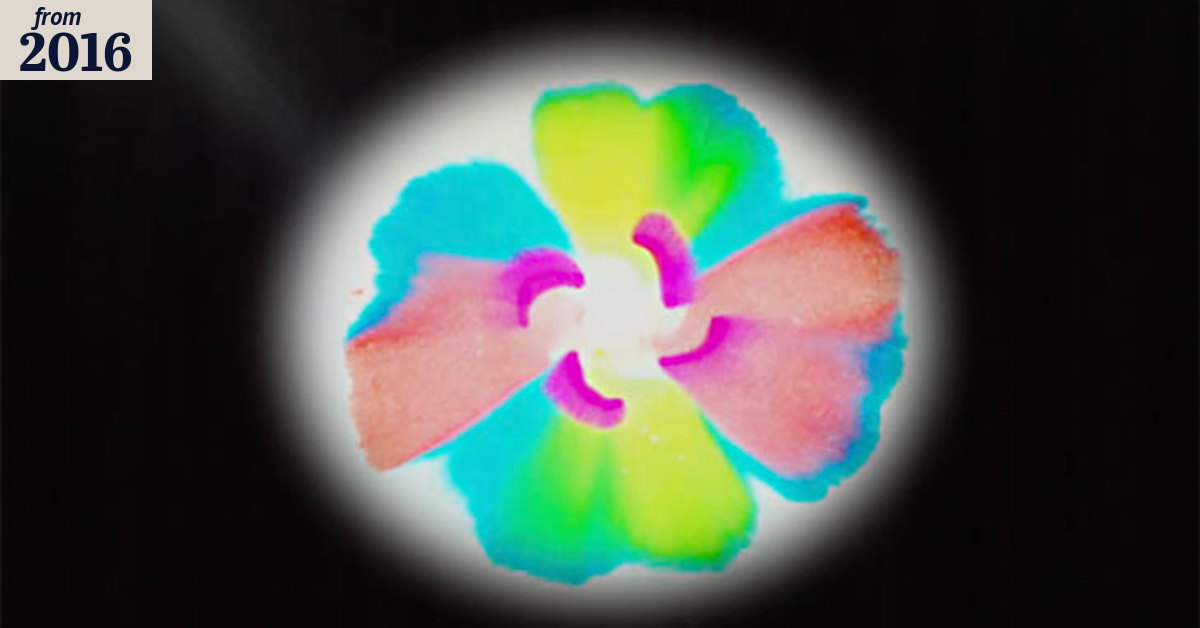 The science behind: chromatography