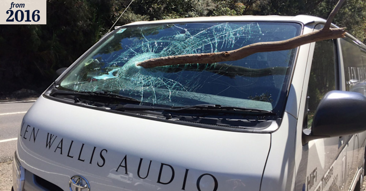 Lucky escape for driver after wind gust sends branch through windscreen