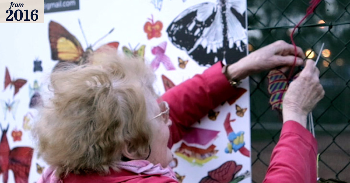 The butterflies that combat racism