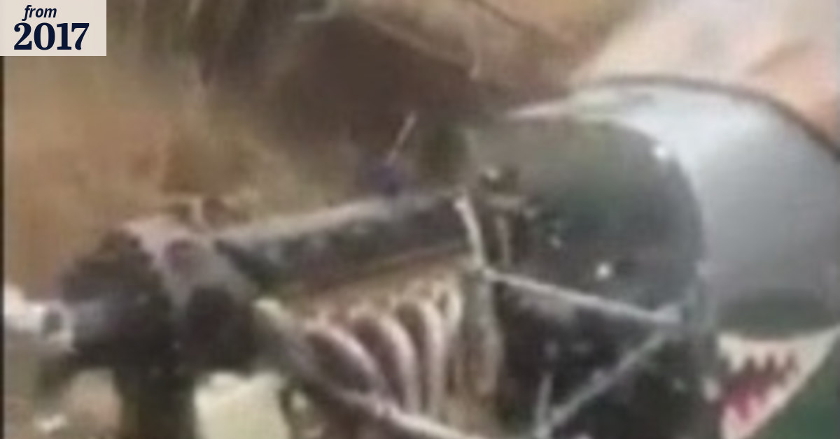 Lucky escape for pilot of self-built plane after crash landing into paddock