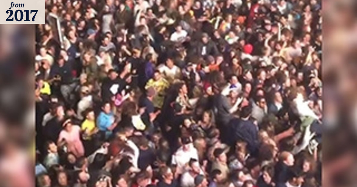 Falls Festival crowd crush: 'Insufficient evidence' to prosecute organisers