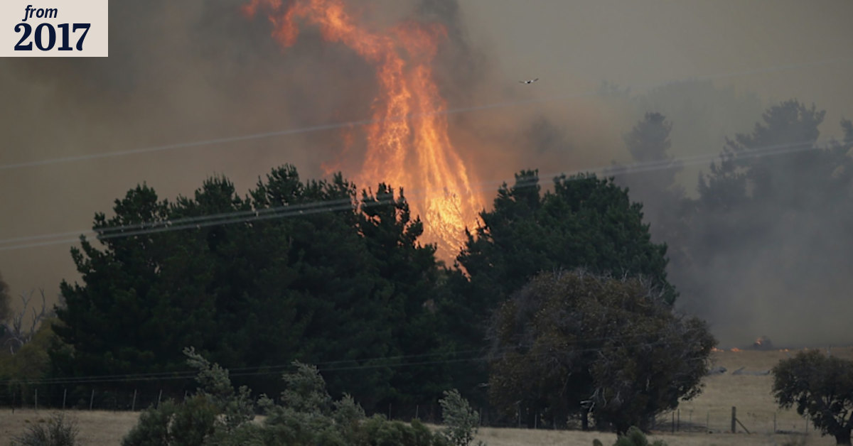 Police investigate blaze near Queanbeyan as fire crews battle on