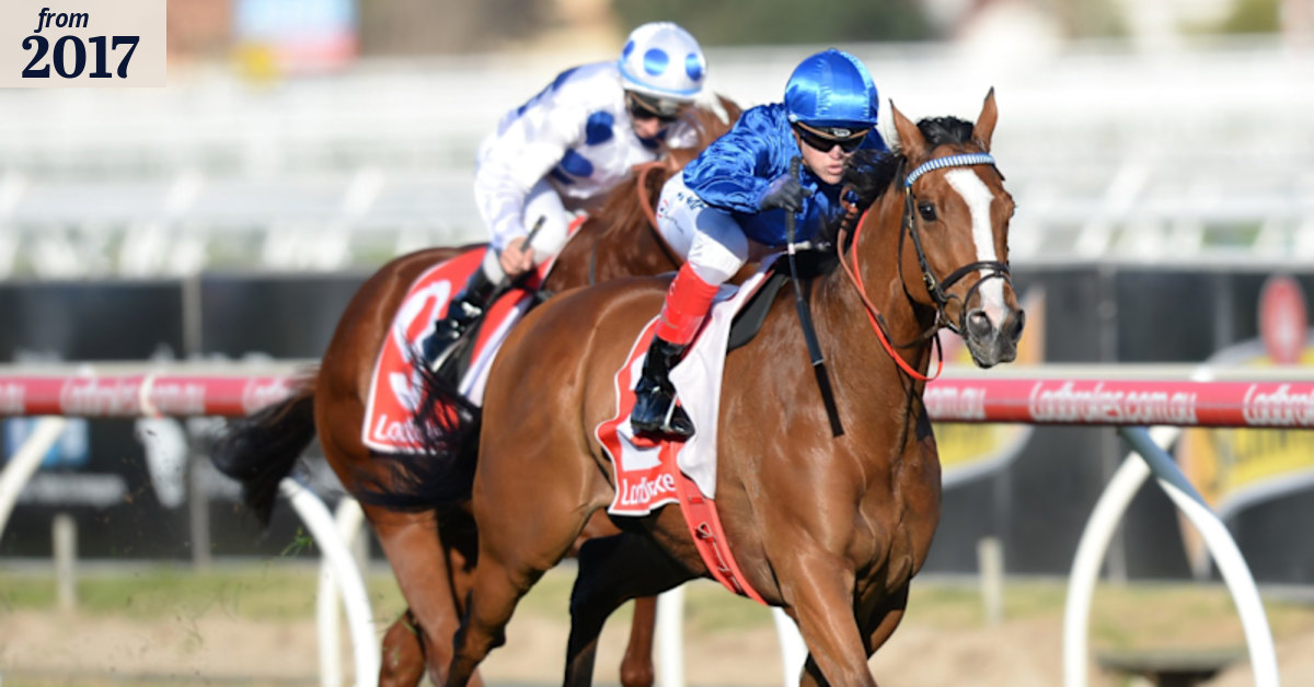 Hartnell back and better than ever without Winx