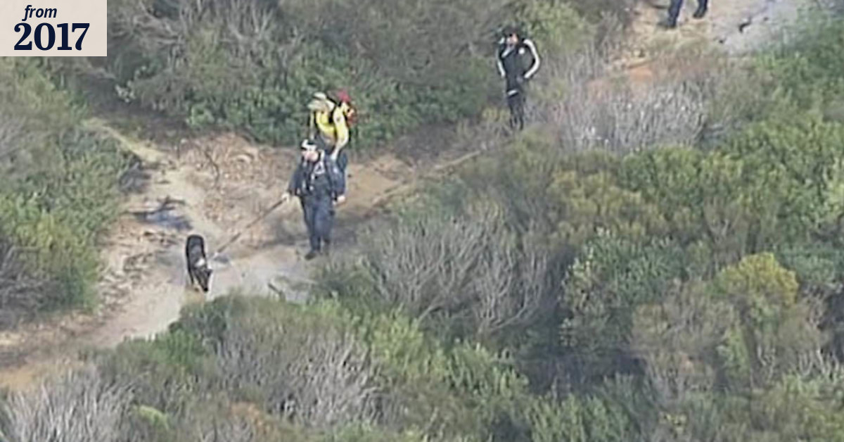 Authorities search for missing bushwalker
