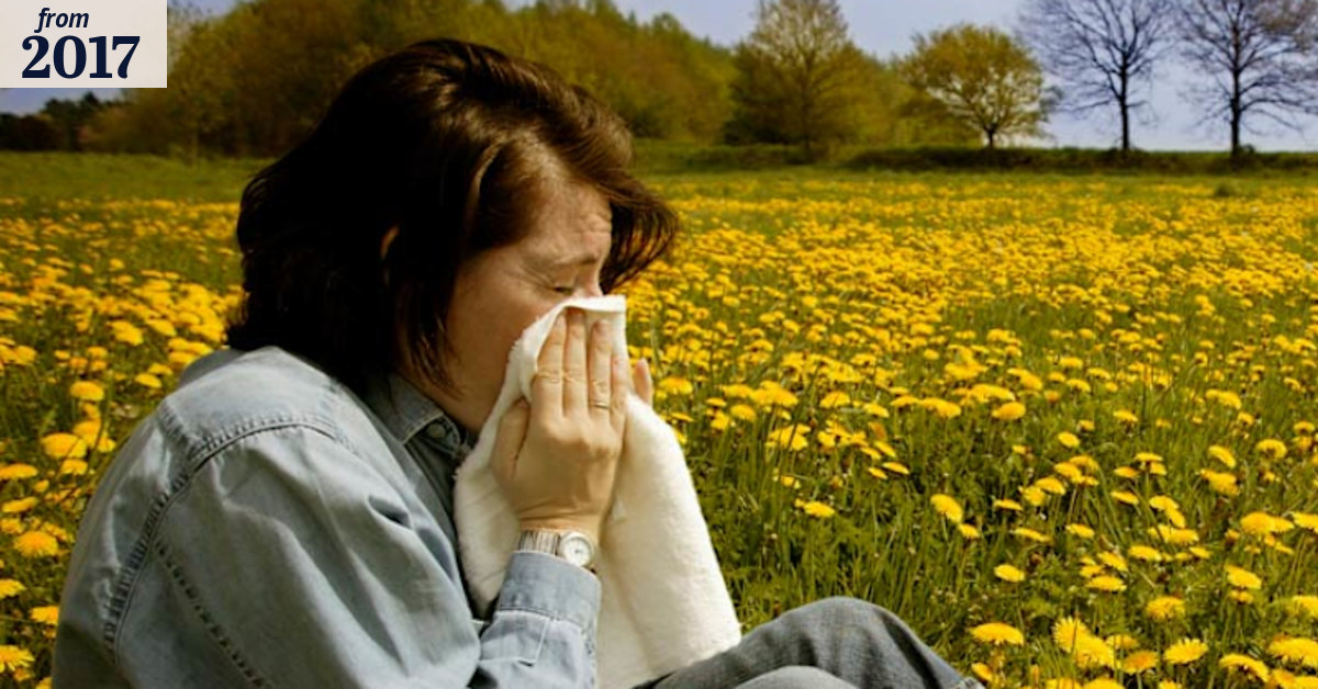 Has hayfever got you down?