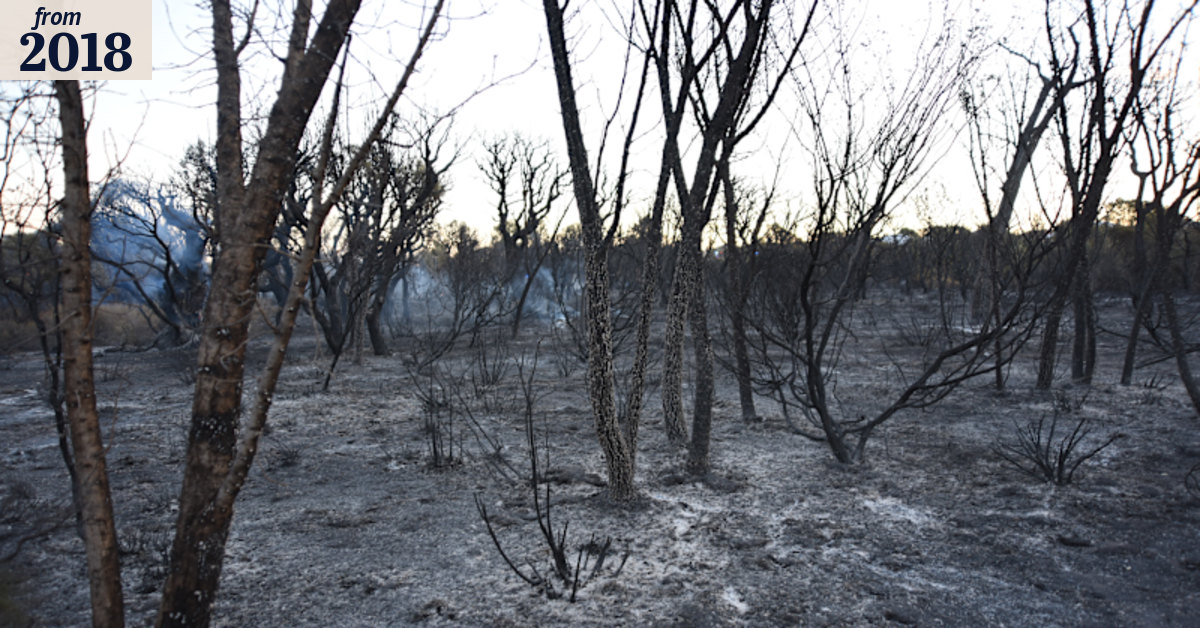 Police probe 'suspicious' Ellenbrook bushfire