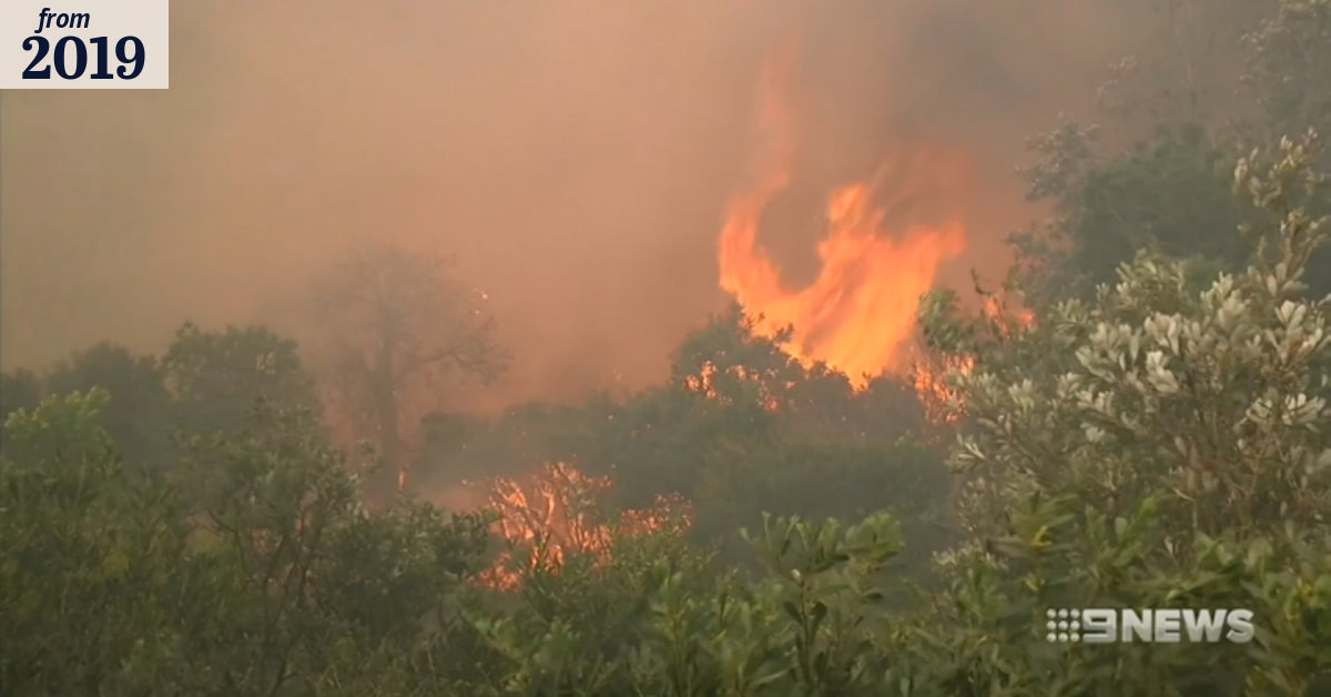 Major bushfire emergency on the state's mid north coast