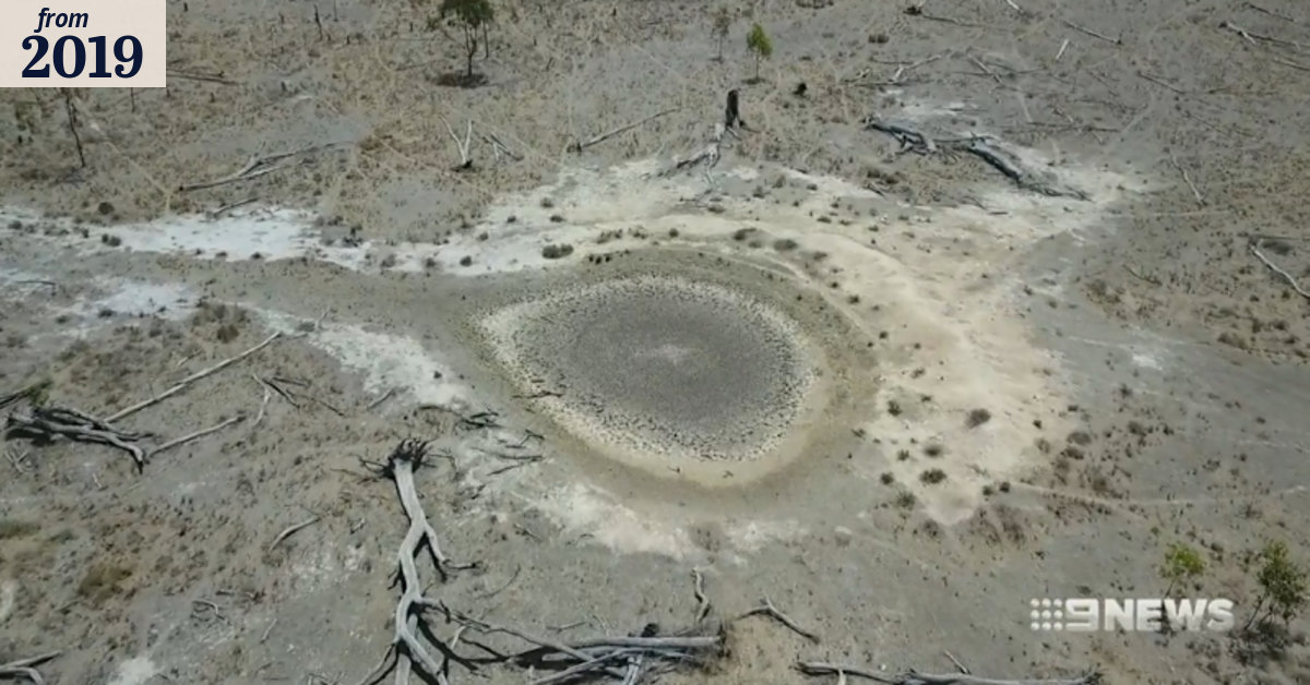 Two-thirds of Queensland affected by drought