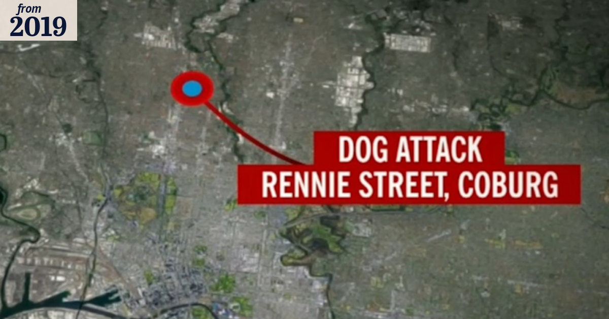Two-year-old girl in hospital after dog attack