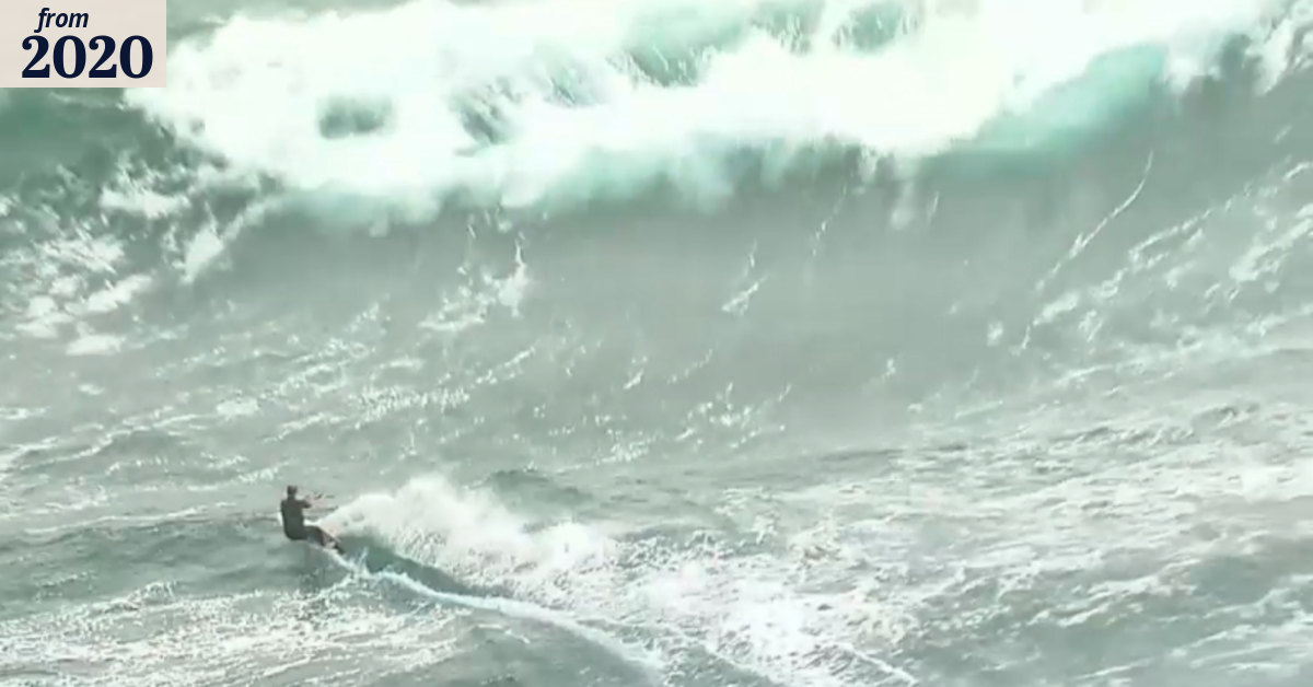 Surfers brave Sydney’s big swell