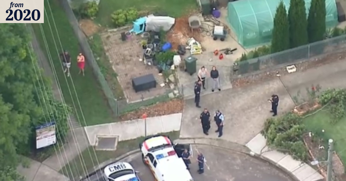 Sydney man critical after falling from a tree