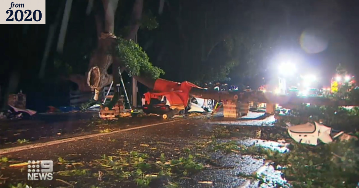 Woman killed as tree branch falls on car following severe storm