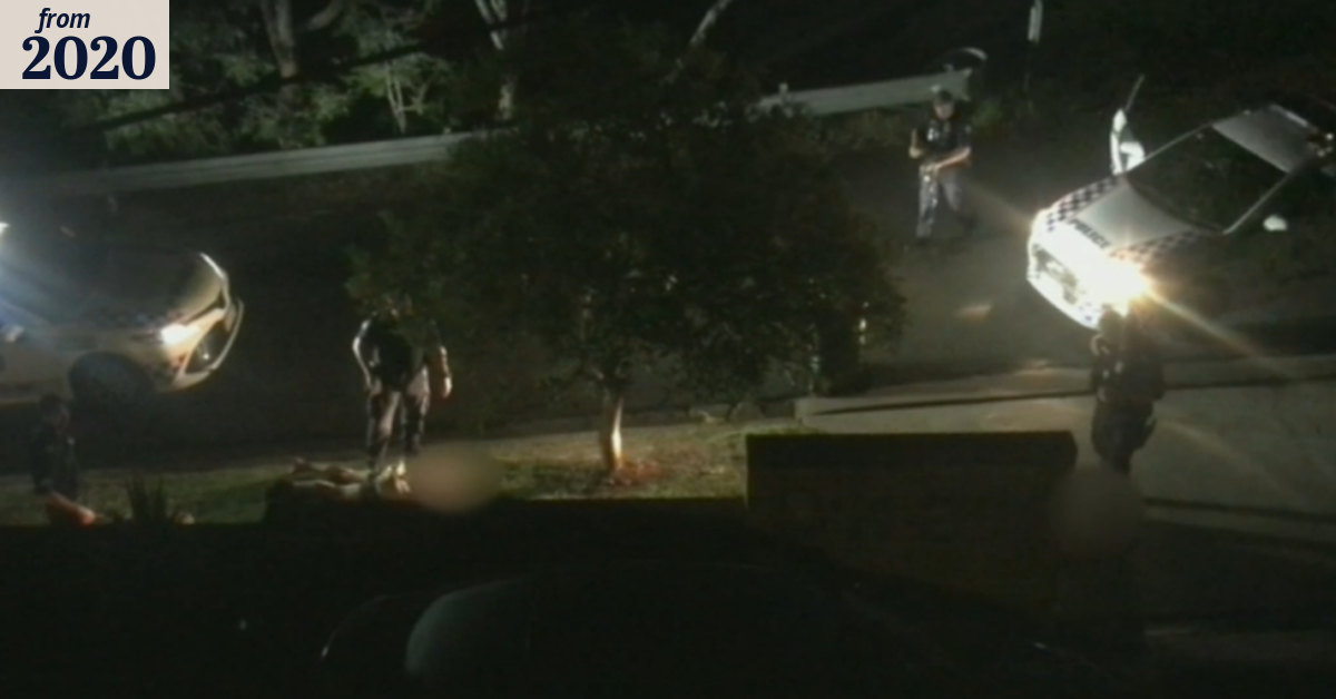 Police dog injured but still catches suspects