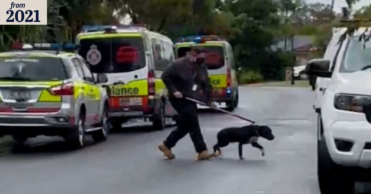 Five-year-old boy fighting for life after being mauled by dog