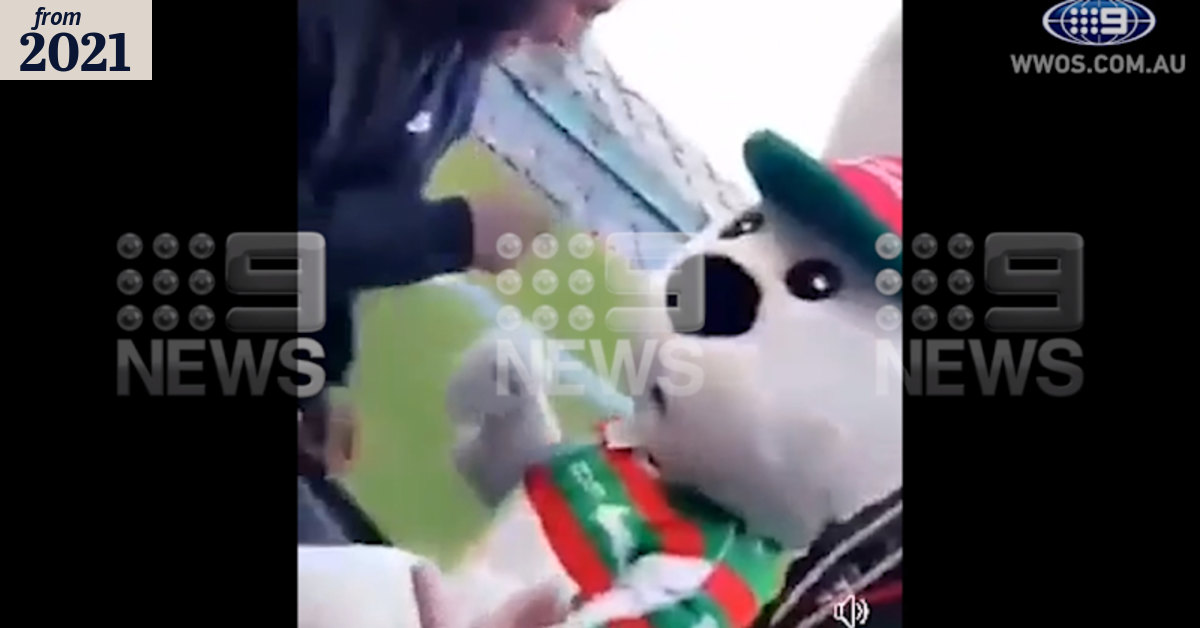 Rabbitohs mascot ‘roughed up’ by fans