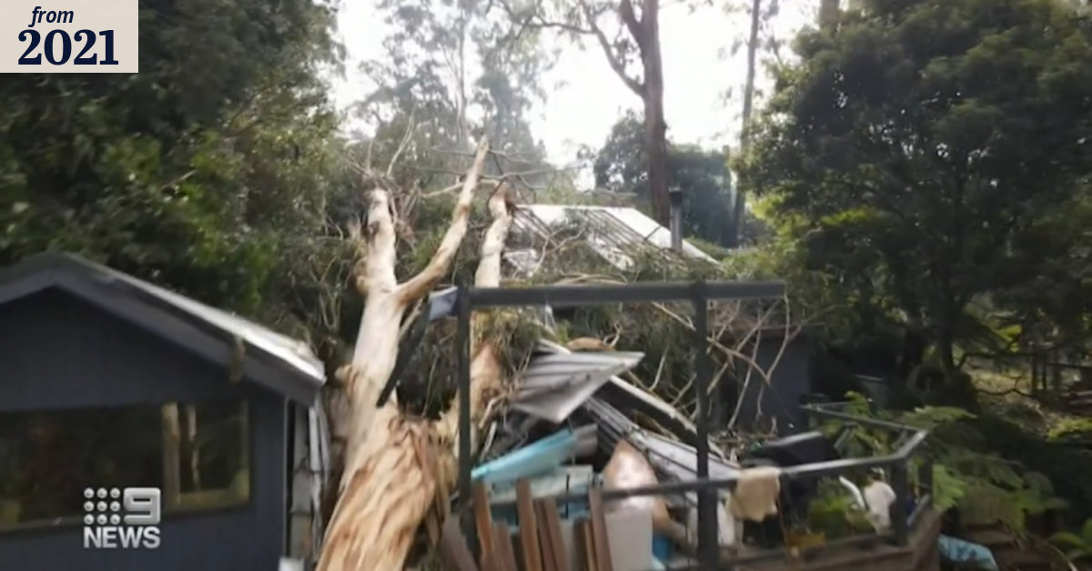 Thousands of homes still without power in Victoria amid storm clean-up