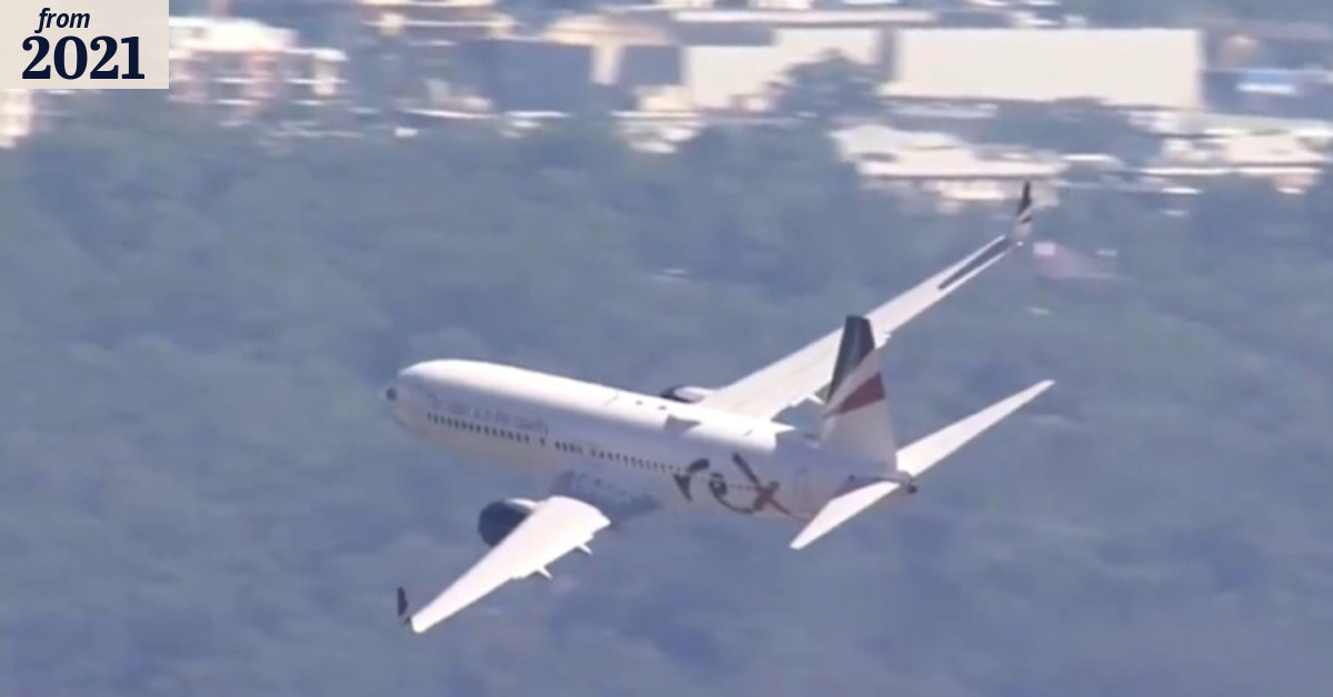 Rex launches domestic flights for less than $50