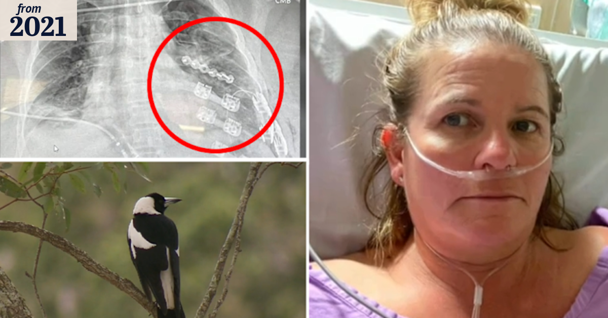 Magpie attacks Gold Coast woman