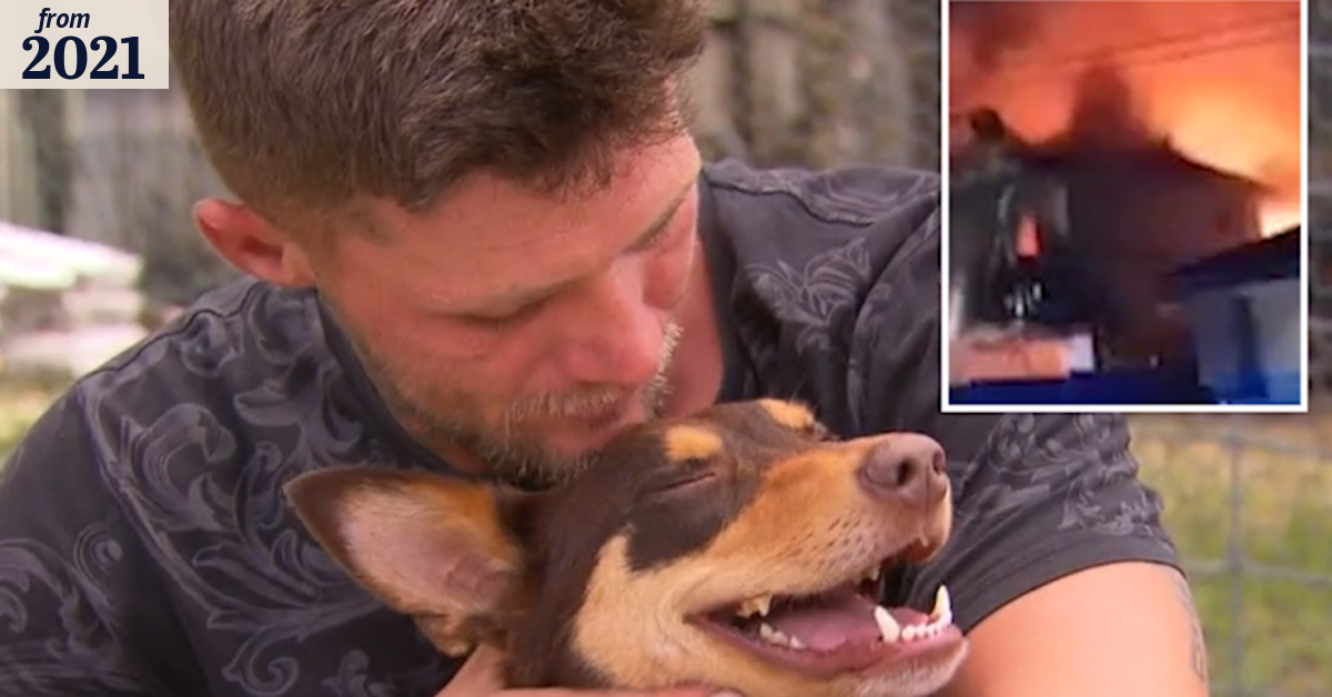Dog saves owner from burning house