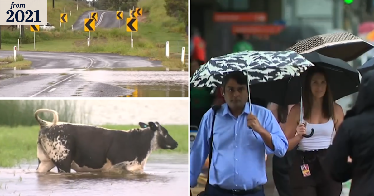 Parts of South East Queensland drenched by storms