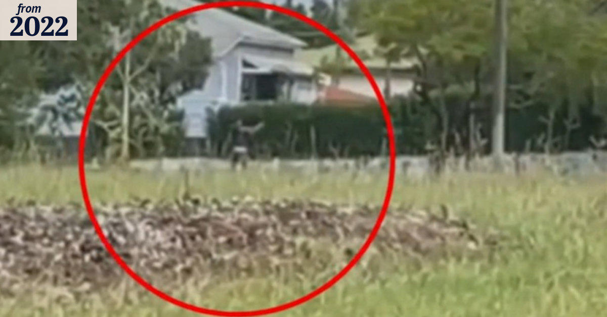 New details after armed man shot dead by Queensland Police