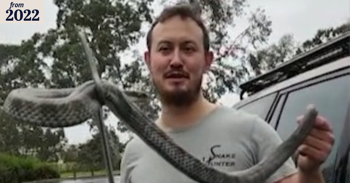 Experts say snake season has begun