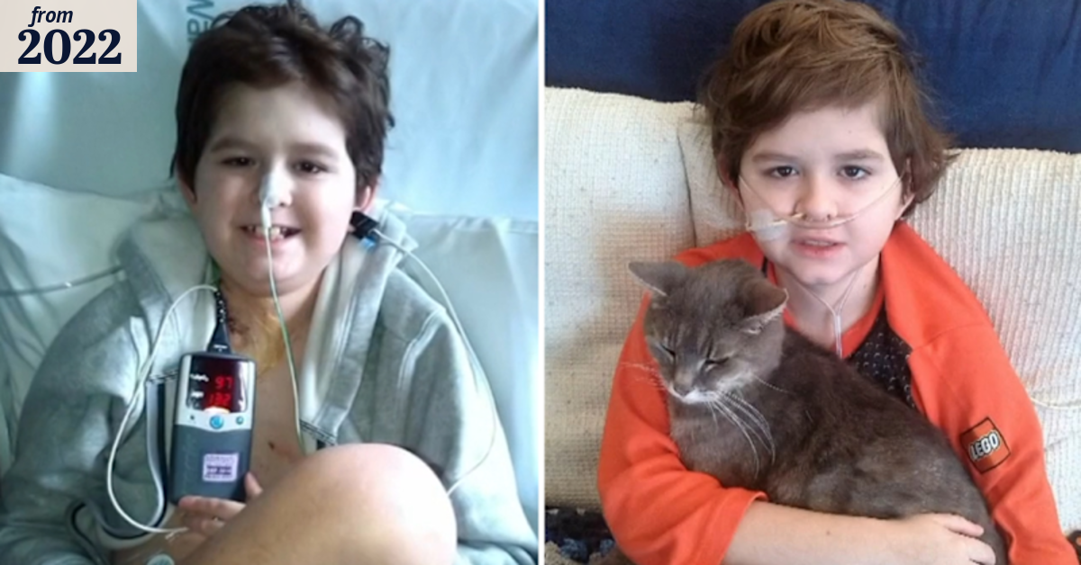 Queensland boy receives donor lung hours before life support due to be ...