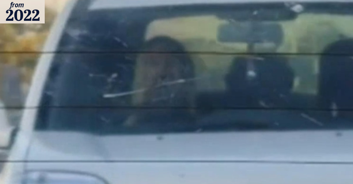 Dangerous driver caught on camera