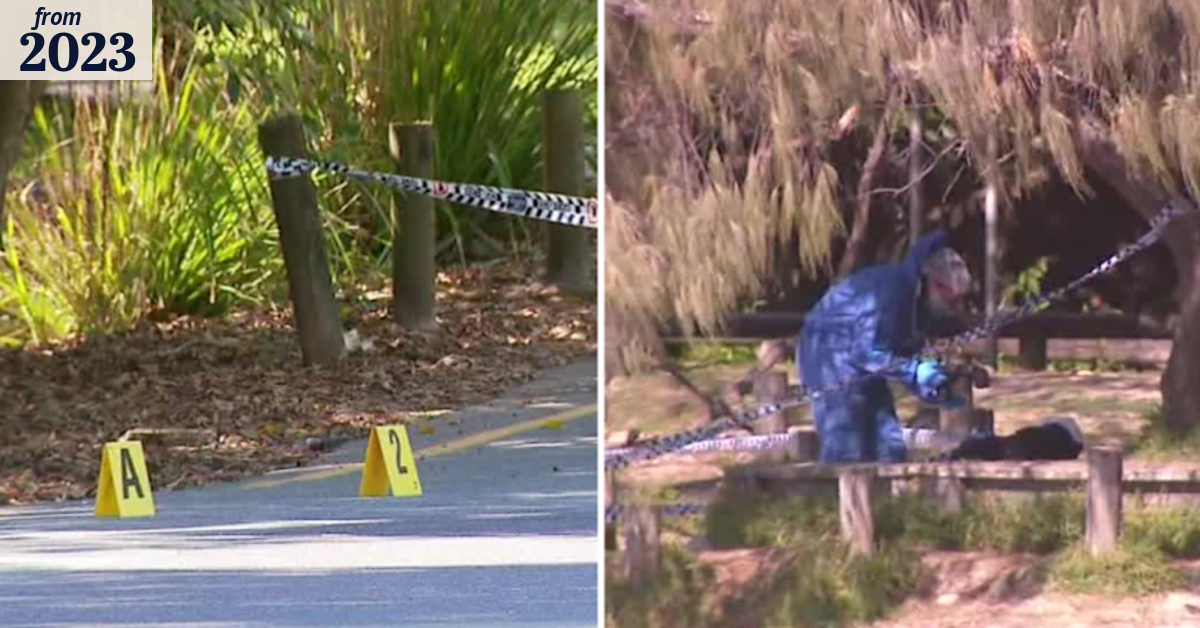 Man in custody after elderly man's death