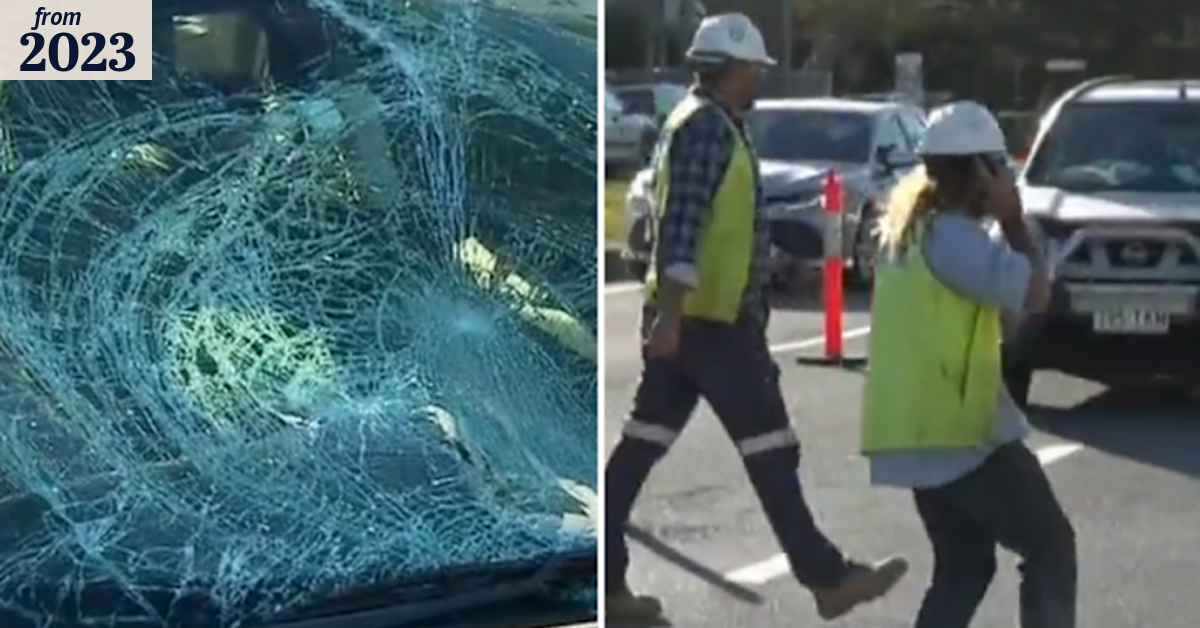 Traffic controller hit by car