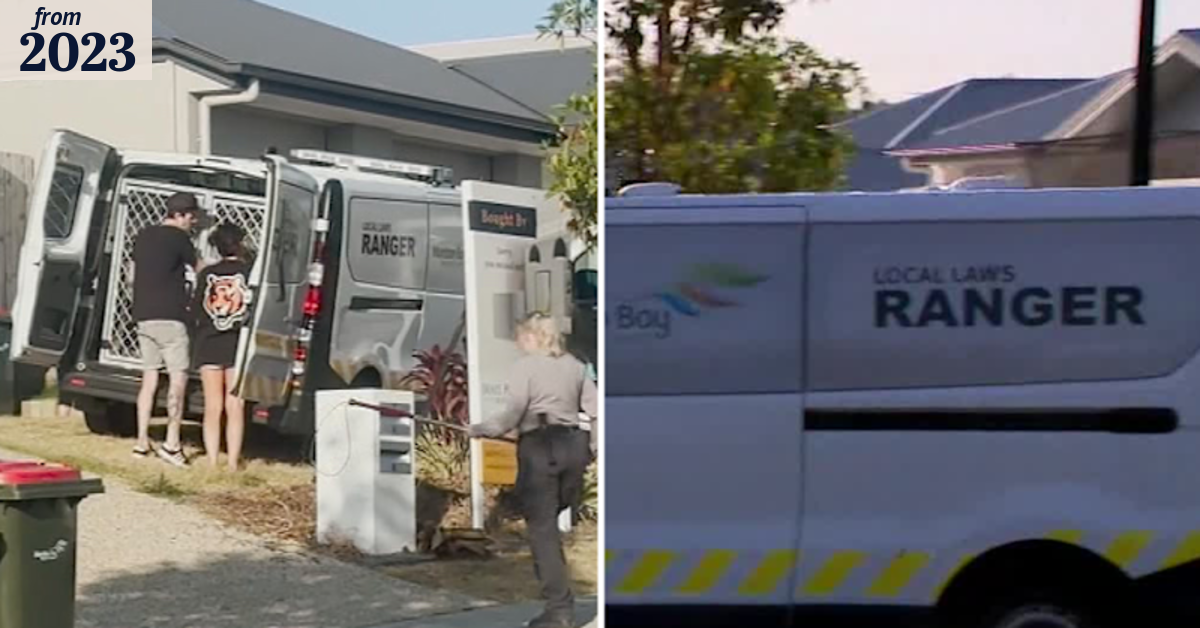 Four people rushed to hospital after dog attack