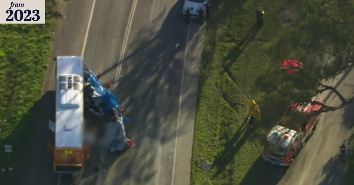 Driver dies after van and school bus collide