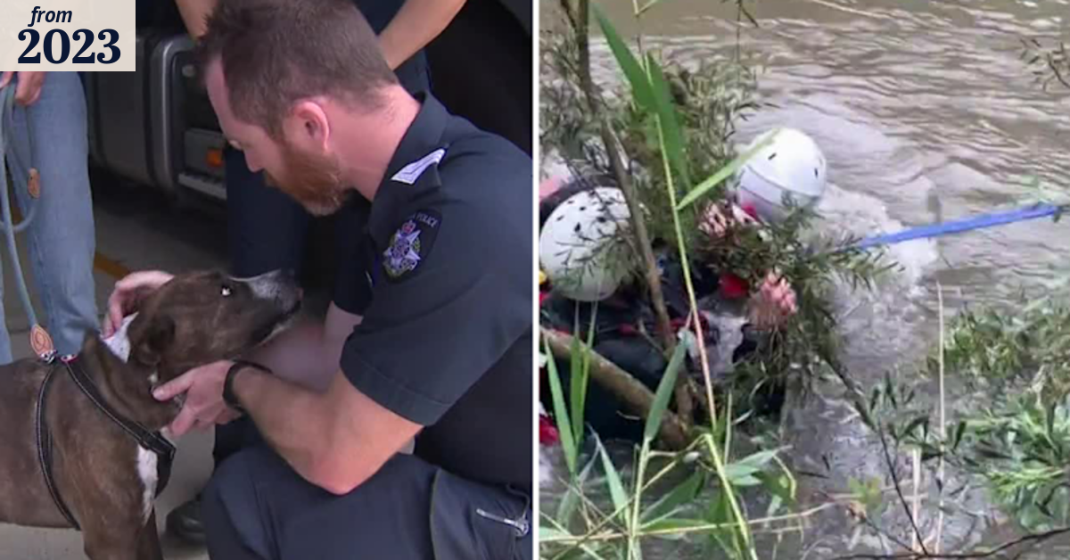 Woman and dog swept into Melbourne river amid wild weather